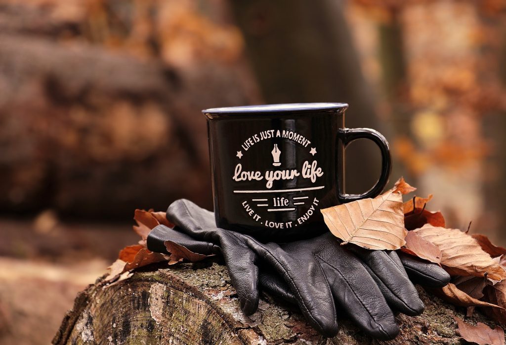 A mug with a "Love Your Life" message, sitting on top of a pair of leather gloves, on a tree trunk, in autumn woods.