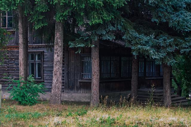 It's a two story, wood house. Looks old and worn. Towering pine trees grow around it. Steps lead up to a porch. The grass is long and kind of brownish. There are dark shadows around the house made by the trees. No sign of any sky is to be seen.